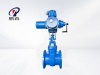 球铁电动闸阀