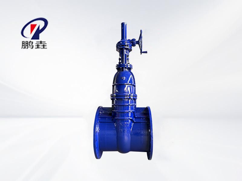 俄标伞齿轮闸阀